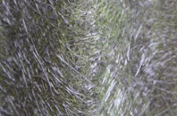 Foston fibreglass roof work