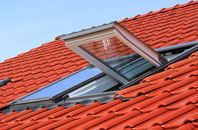 Foston roof window